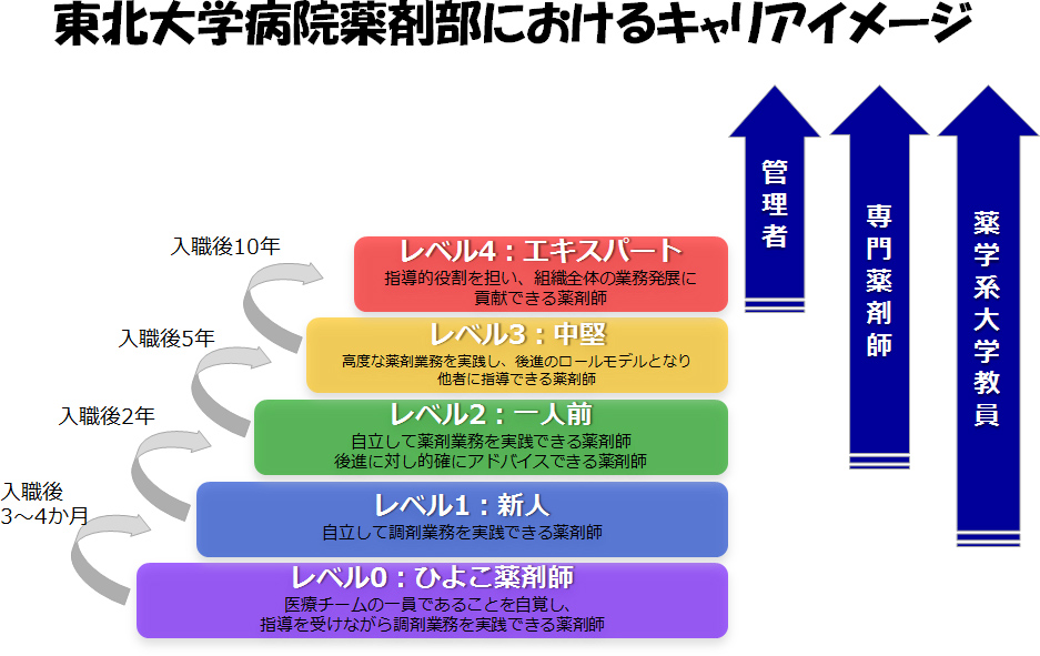 東北大学病院薬剤部におけるキャリアイメージ