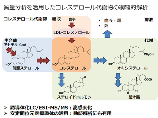 質量分析を活用したコレステロール代謝物の網羅的解析